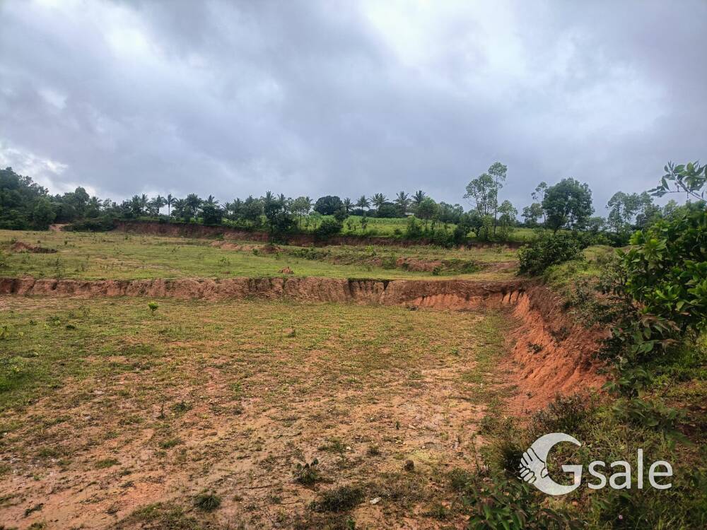 agricultural land for sale at kankumbi 28 acres 