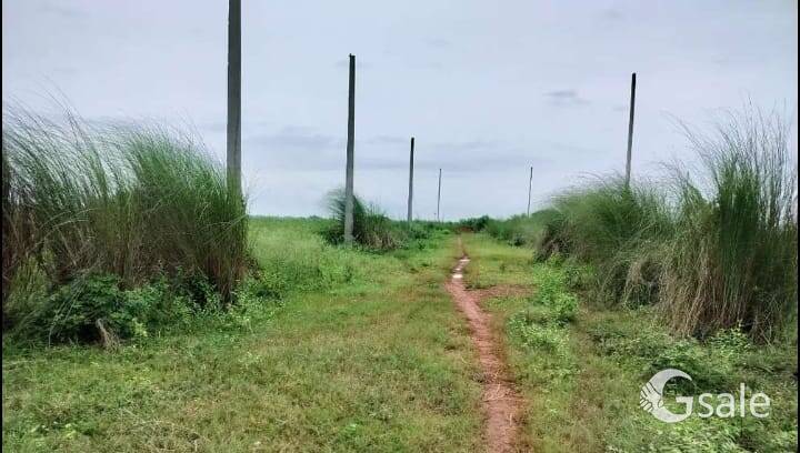 plot for sale 