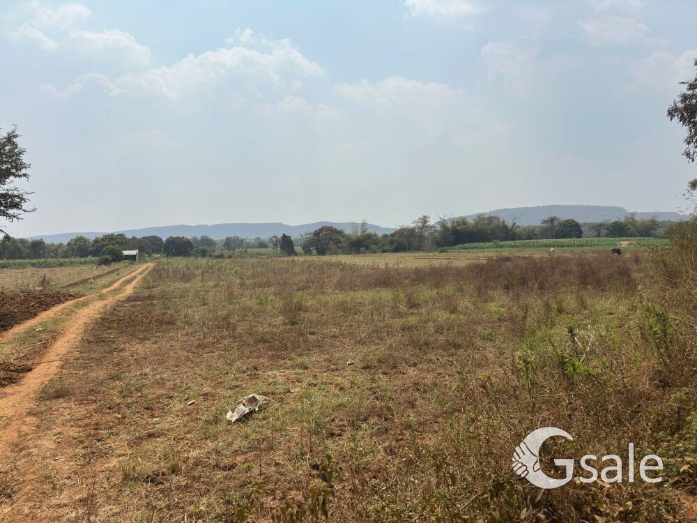land for sale 24 Gunta 