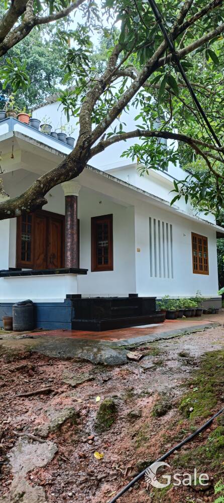 Sale house