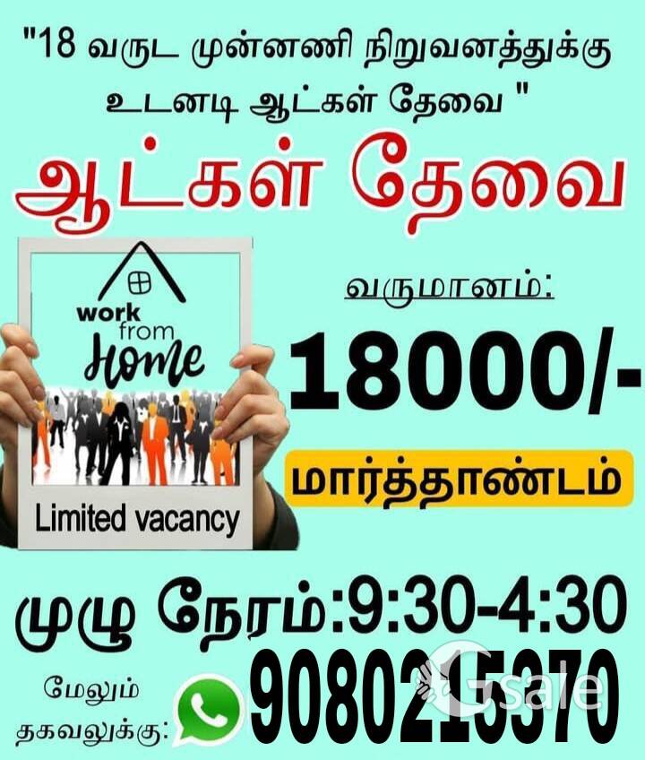 job vacancy 