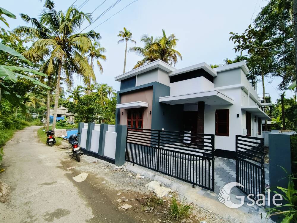 Mannam Thathappilly 3 Cent 2 Bhk Attached 850 Sqft New House Tar Road Frontage 