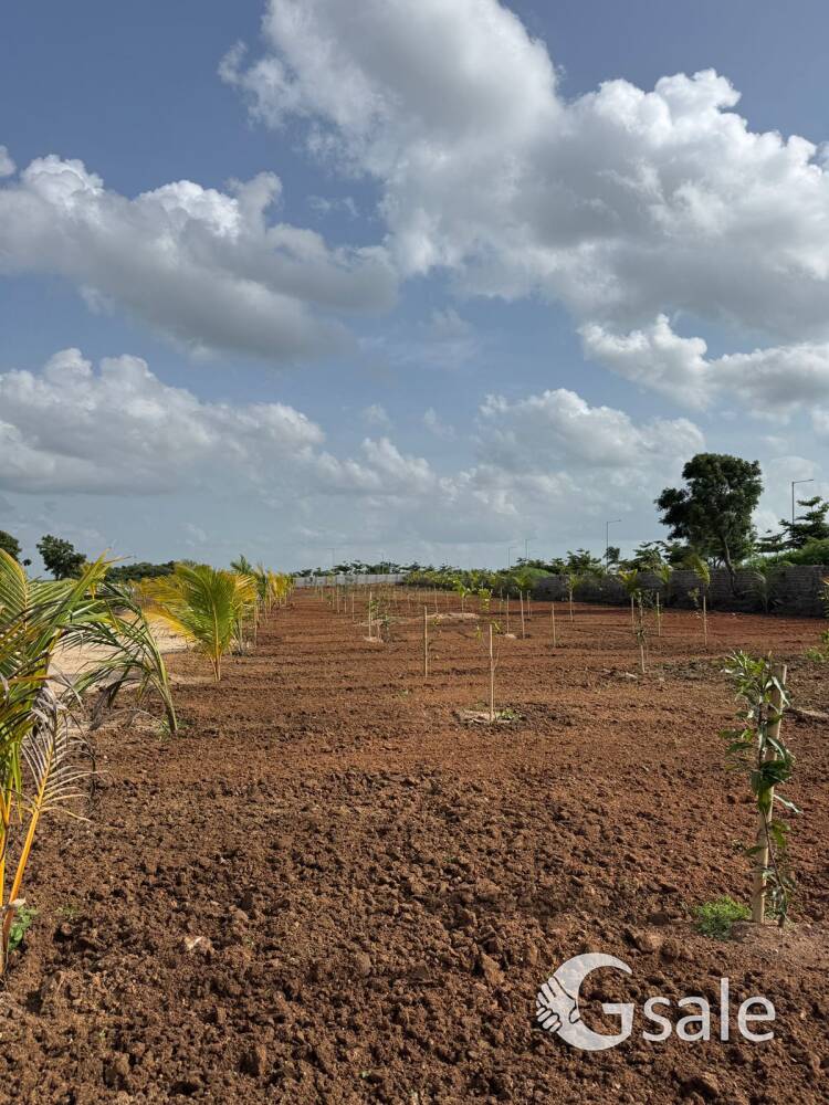 Maheswaram Town 