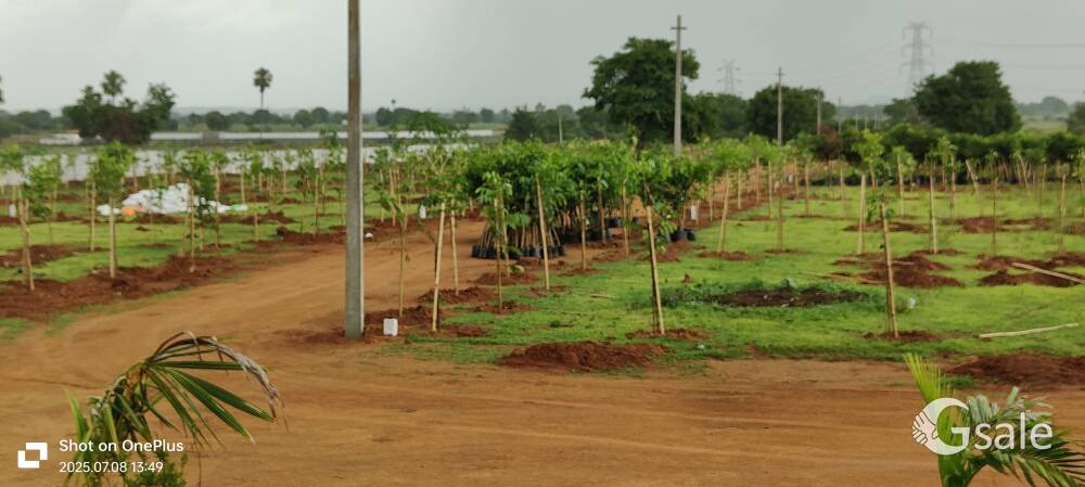 Farm plots &farm house 🏡 🏠 available 