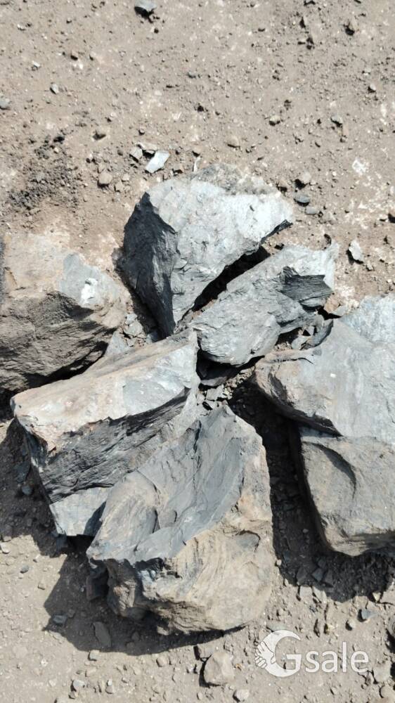 Indian coal 