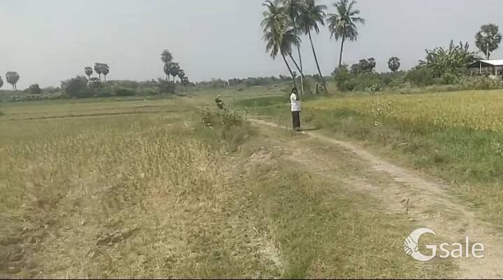 agricultural land