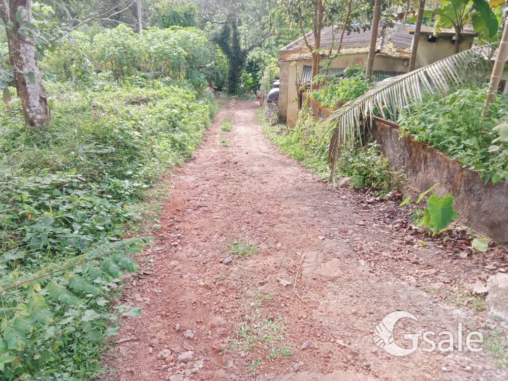 plot for sale