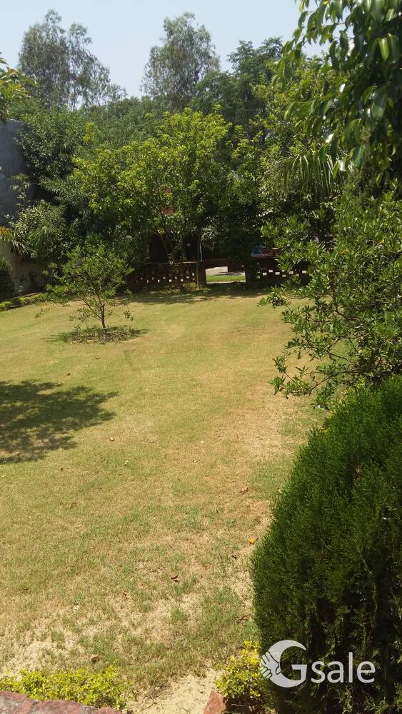farm houses / plot 50 marlas for sale in just 80000/ per marla near CT INSTITUTE 66 ft road jalandha