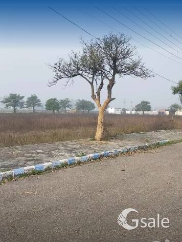 50 marlas farm house available for sale just near to 66 ft road or Ameera mention in just 2.75 lac p