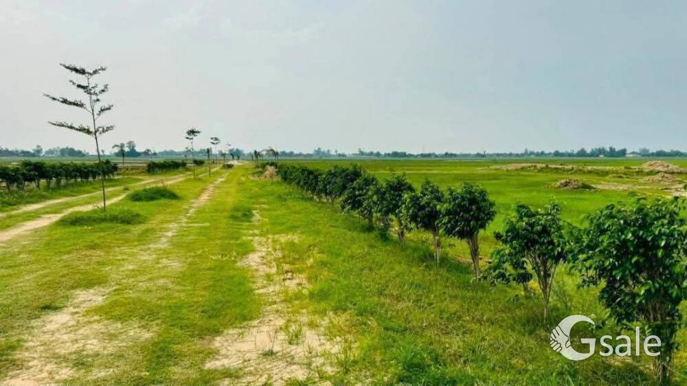 इस नवरात्रि के शुभ अवसर पर गोरखपुर में बहुत ही शनदार on highway पर प्लांट उपलब्ध है