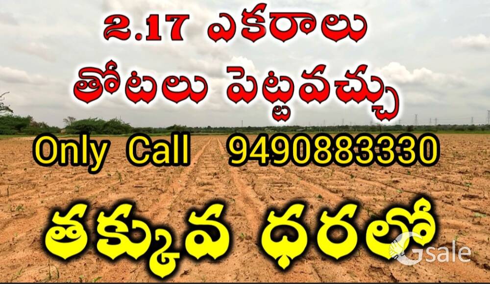 Billo 10 Lac per Acre only 