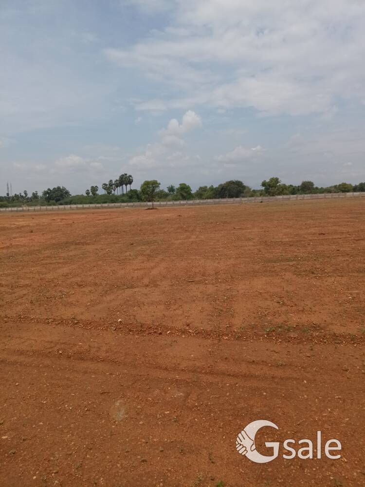திண்டுக்கல் நத்தம் ரோடு சாணார்பட்டி அருகில் மனைகள் விற்பனைக்கு.