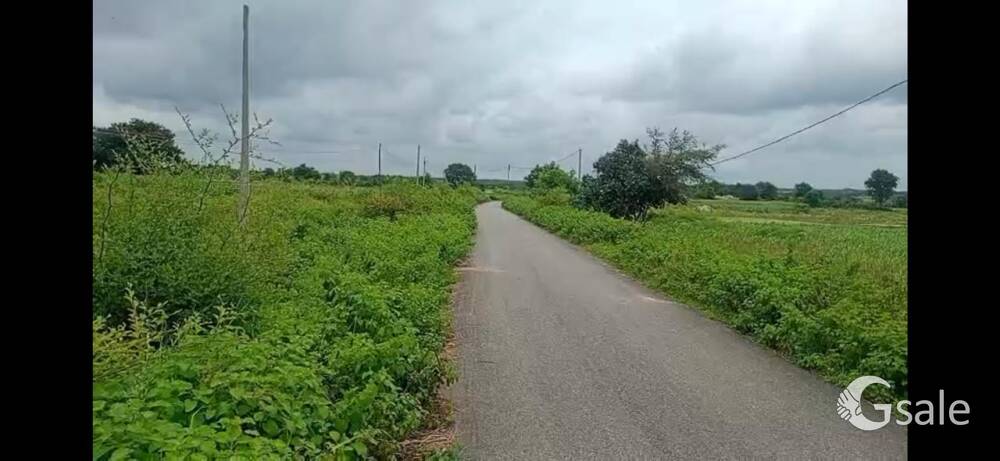 Agriculture land for sale 