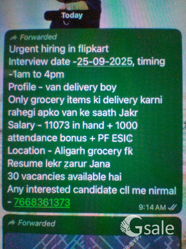 flipkart company 