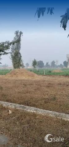 5 marlas plot for sale in just 2.50 lac per marlaTotal cost...12.50 lac30 ft wide road Concrete road