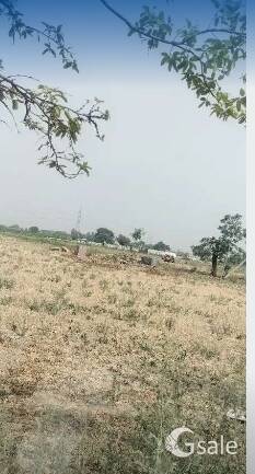 2 acre land available for sale near jamsher going cheap in just 42 lac per acreTotal 84 lacSuitable 