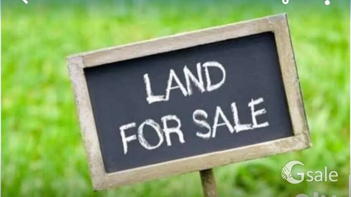 440 marlas plot on Hoshiarpur road available for sale in just 2.50 lac per marla.Front 195 ftJust ne