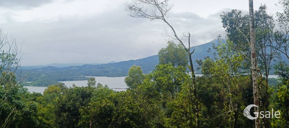 dream wayanad property 
