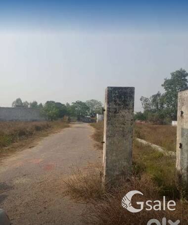 50 marlas farm house plot only 60000/ per marla 30 lac onlyParty need 10 lac urgent n rest payment 
