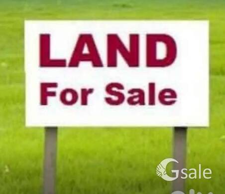 Agricultural land/ commercial lands available for sale 