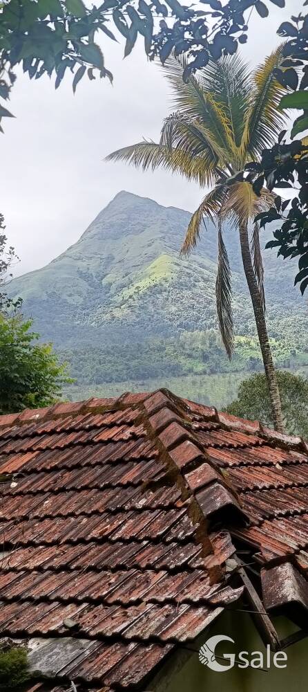 dream wayanad property 