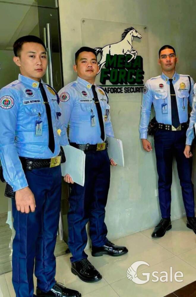 Security Field Officer 