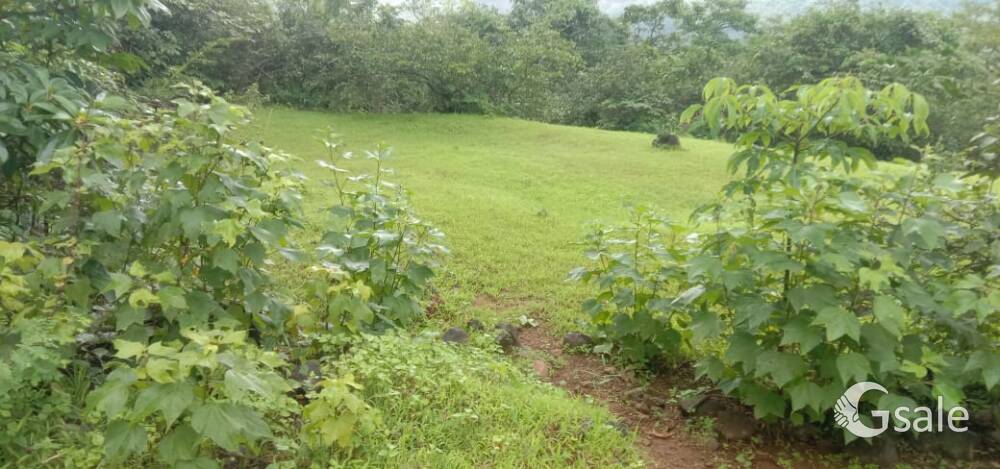 land available ratnagiri district maharashtra
