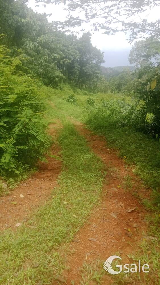 50 സെന്റ് സ്ഥലം വിൽപ്പനയ്ക്ക് 