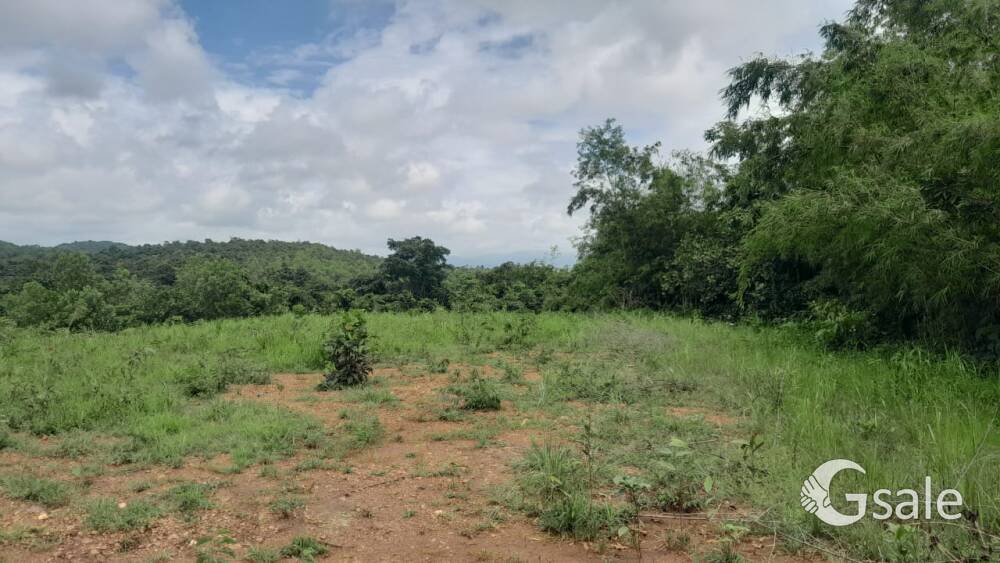 land available raigad district mangaon taluka