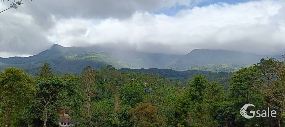 dream wayanad property 