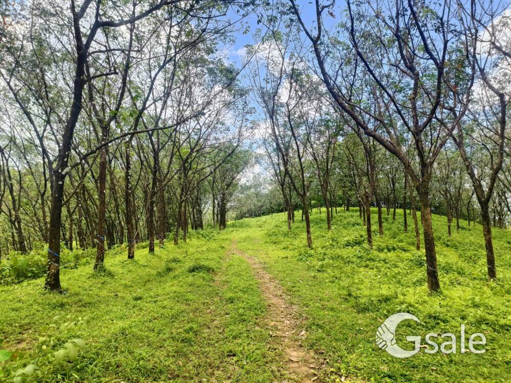 Land available Sindhudurg district