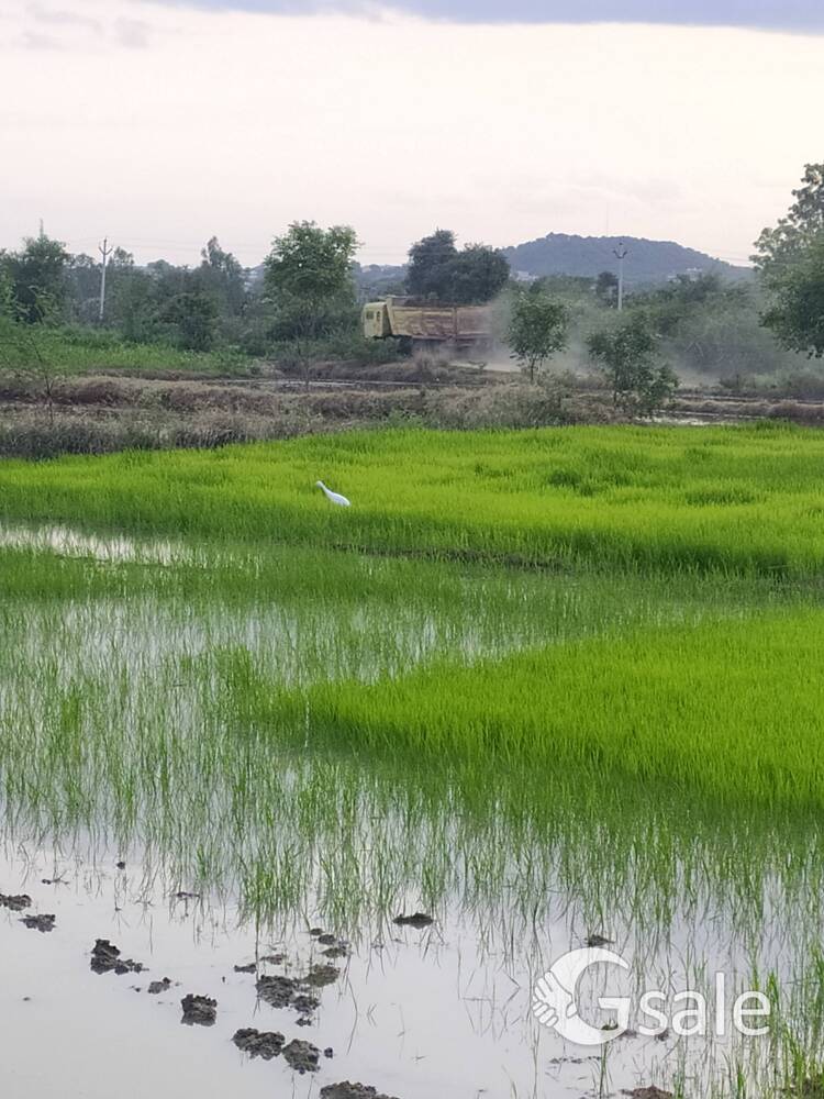 AGRICULTURI LAND