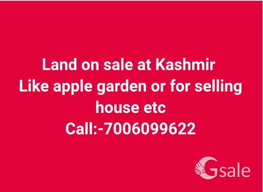 land or apple garden 