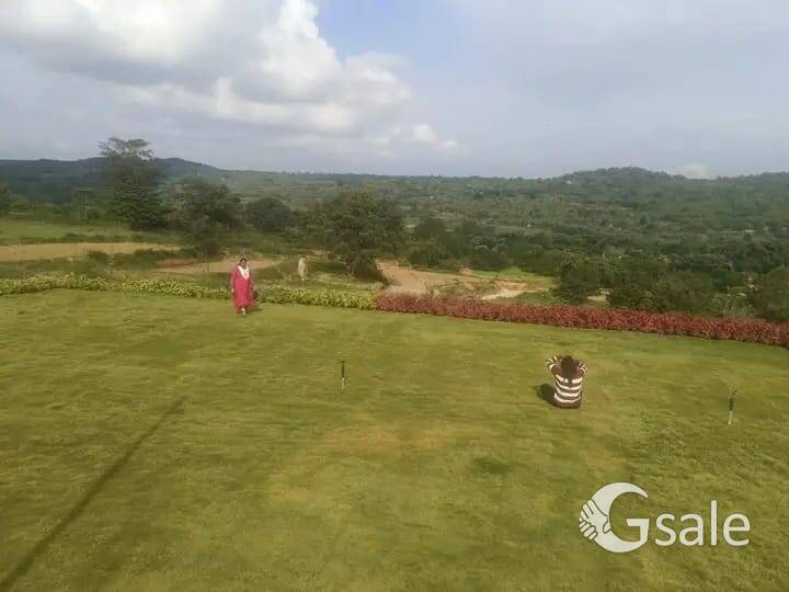 FARM LAND 