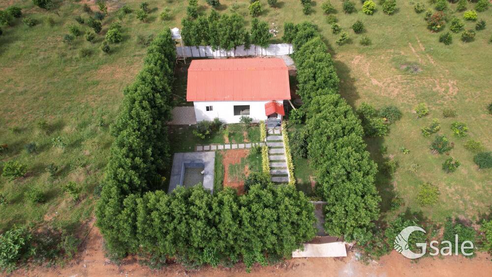  CHERUBIC FARMS  