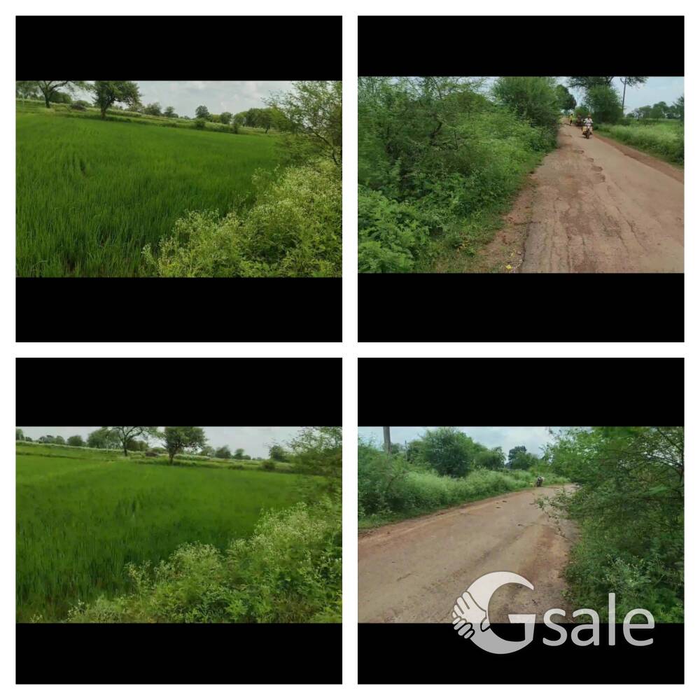SELL AGRICULTURE LAND