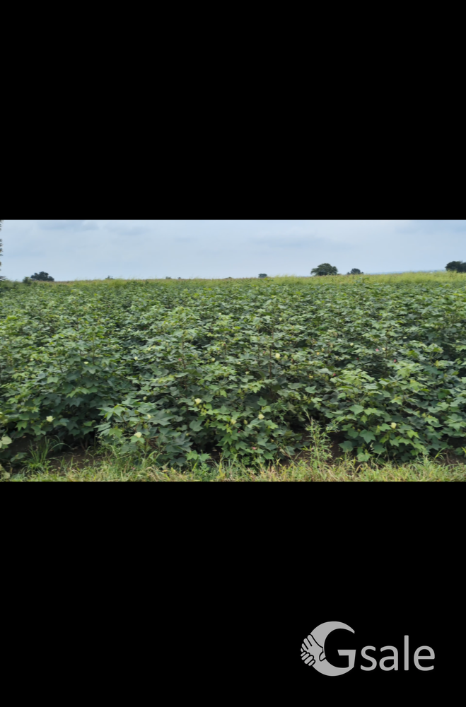 agriculture land 