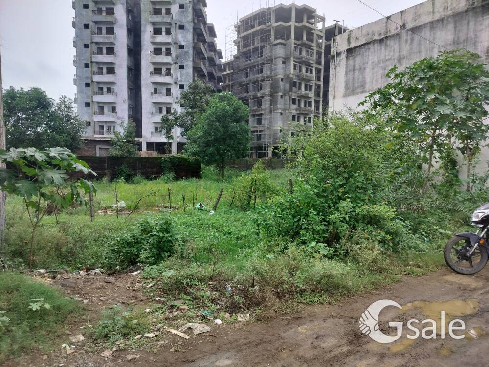 Tilehri near by Ekta Market Paras Residency ke samne 