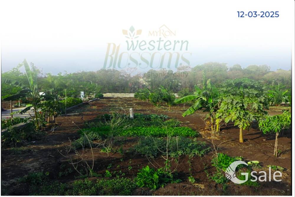 western blossom,s Venture, Myron homes 
