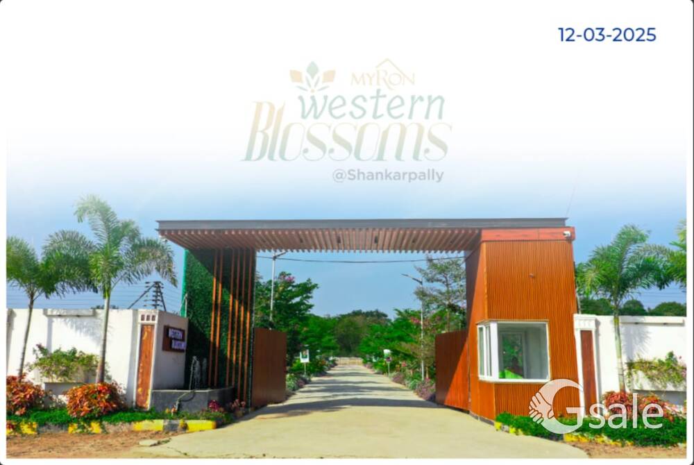 Western blossom,s myron homes 