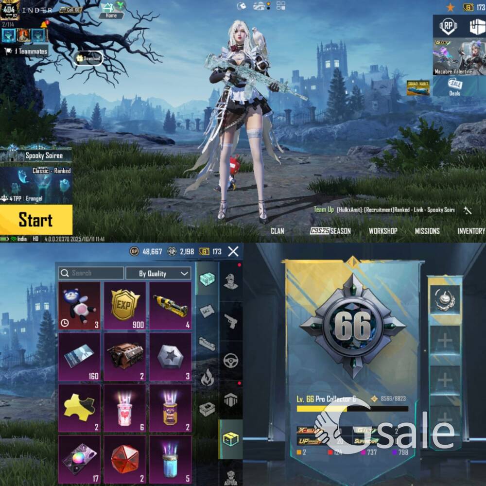 BGMI PREMIUM ACCOUNT 66 COLLECTION LEVEL 