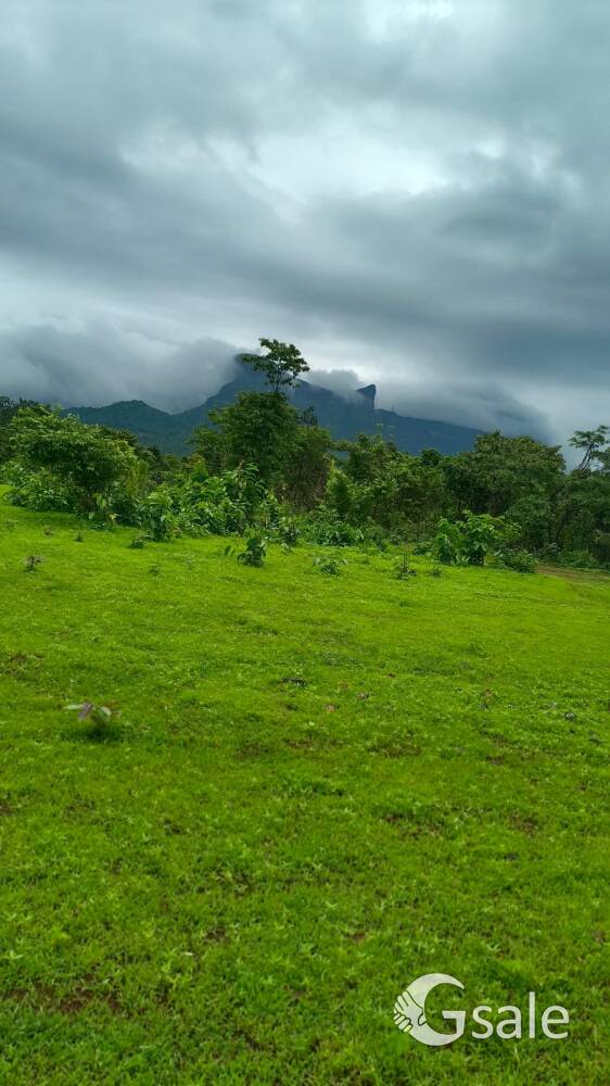 50 acres of agriculture lands for sale in odisha 