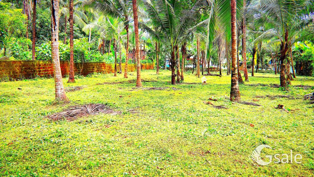വേങ്ങര കോട്ടക്കൽ റോഡ് പരിധിയിൽ റെസിഡൻഷ്യൽ ആവശ്യത്തിന് പറ്റിയ15 സെന്റ് സ്ഥലം വില്പനക്ക്