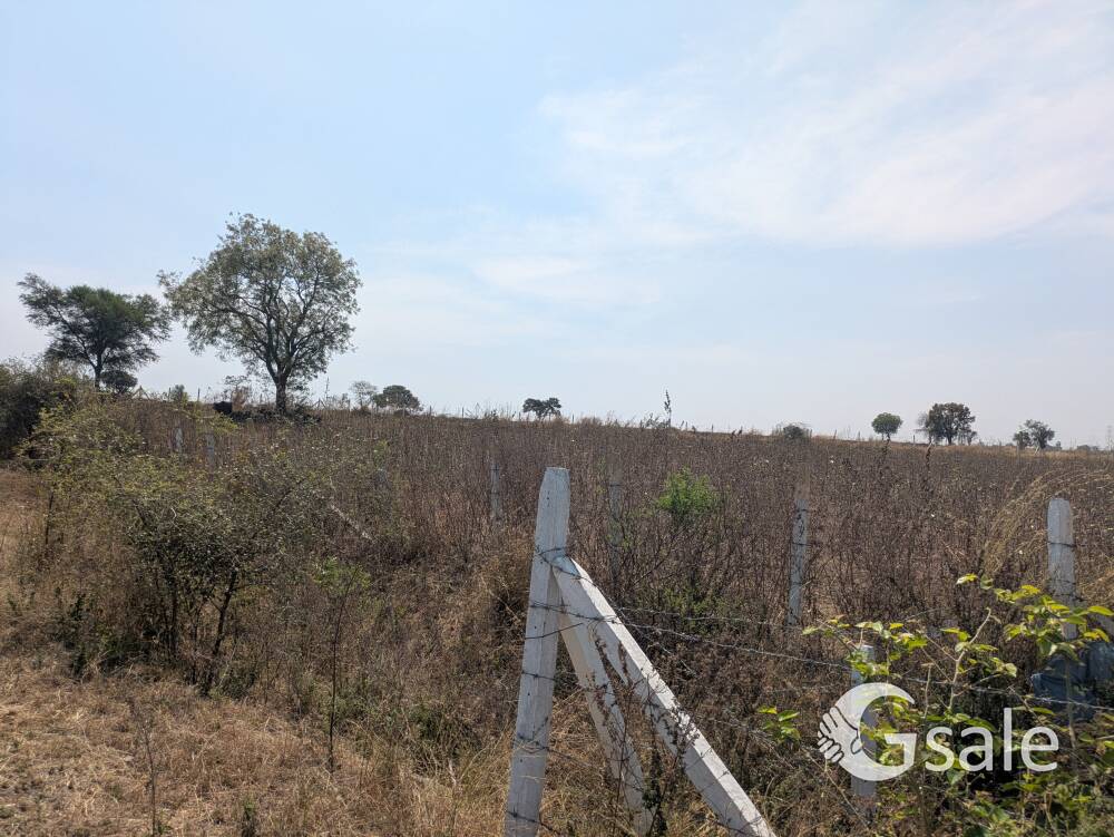 open land 
