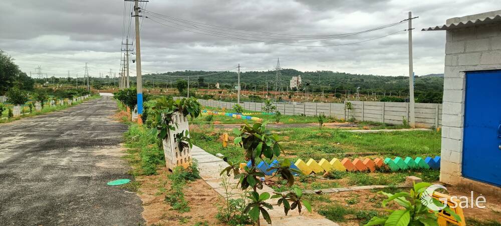 BEAUTY OF NATURE PLOT OF BANGALORE 