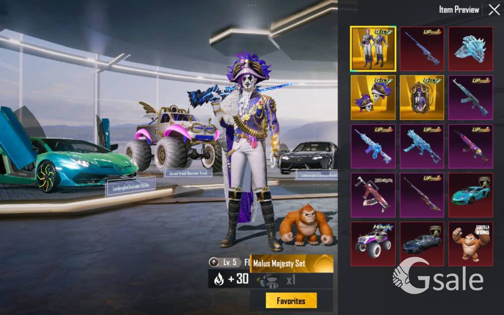 PERSONAL BGMI ID