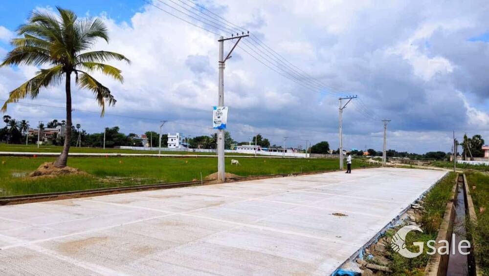 Nirvana developers Earthcity 