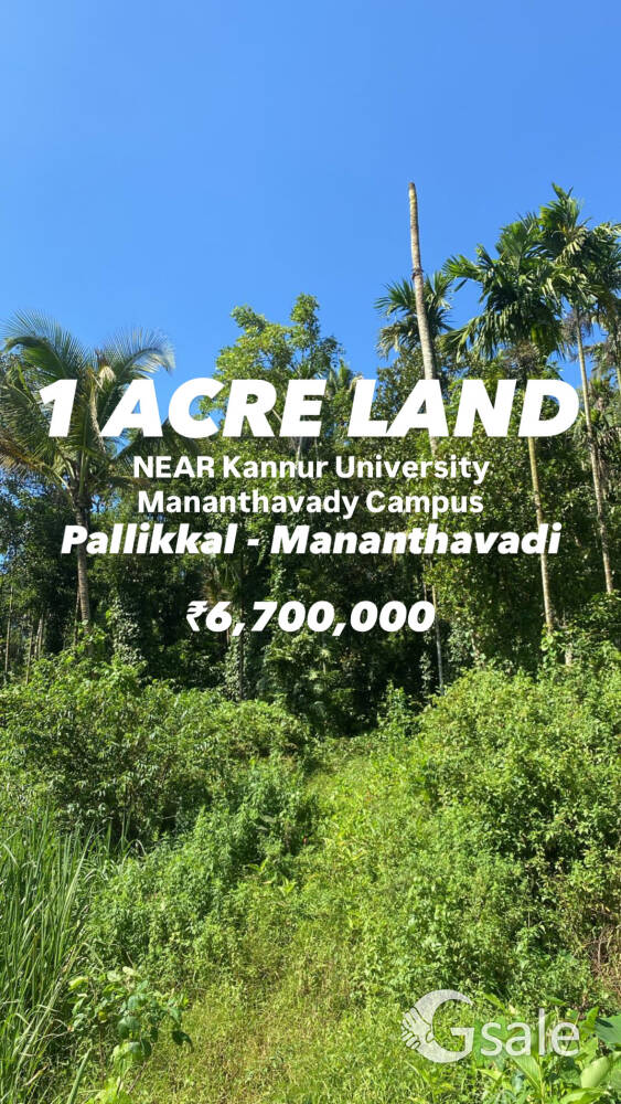 1 acre plot for sale at pallikkal, Mananthavady Wayanad