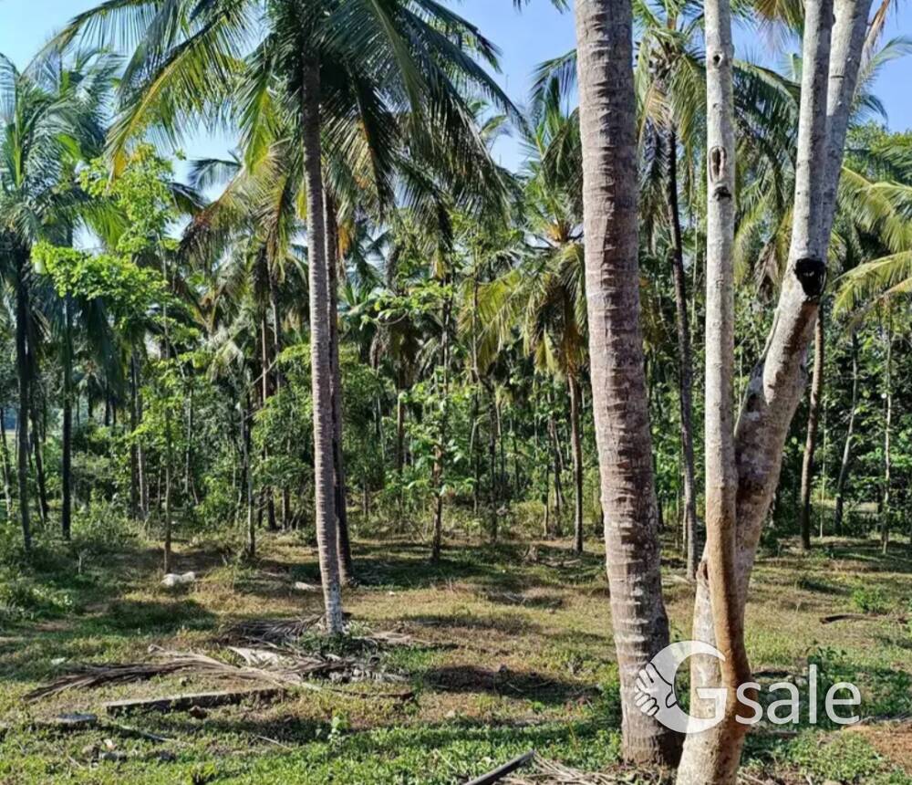 agricultural land for sale with rcc house 
