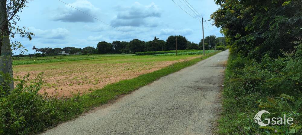1 Acre 2 Gunta Property near Kolar City